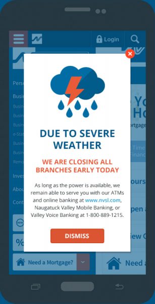 NVSL-Alerts