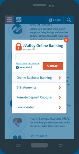 NVSL-Log-In